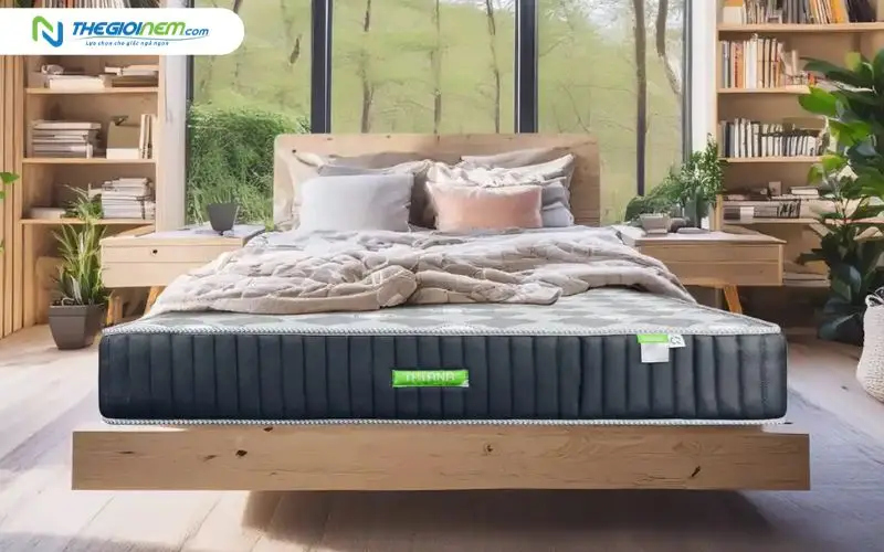 Nệm lò xo liên kết TATANA Liza