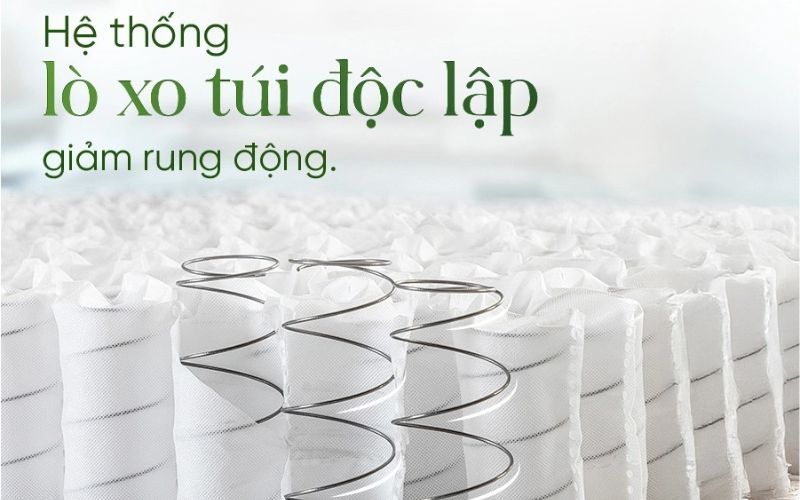 Công nghệ lò xo túi độc lập hỗ trợ tốt, giá cao hơn