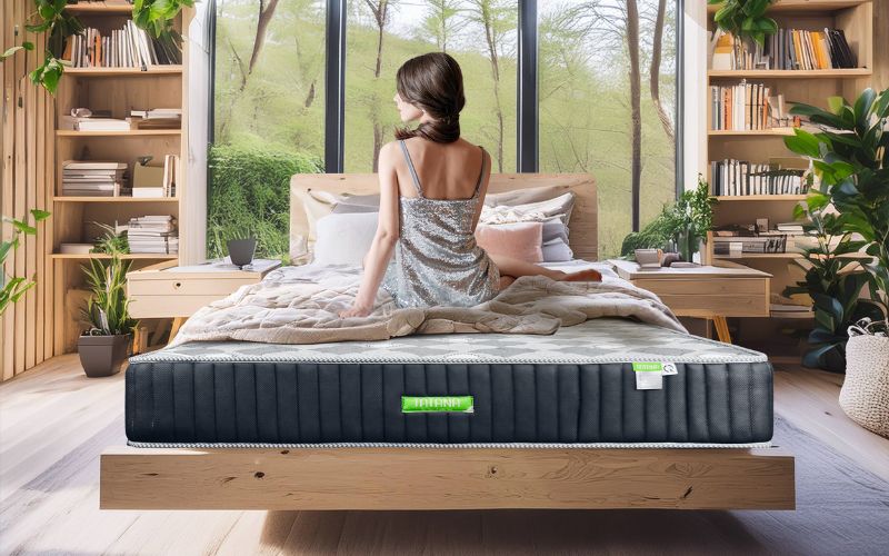 Nệm lò xo liên kết TATANA Liza giá tốt, êm ái