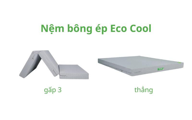 Nệm bông ép Eco Cool thẳng/gấp