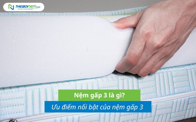 Mua nệm gấp 3 tại Biên Hòa - Đồng Nai (2)