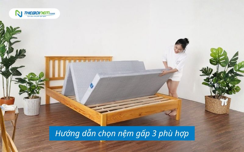 Mua nệm gấp 3 tại Biên Hòa - Đồng Nai (4)