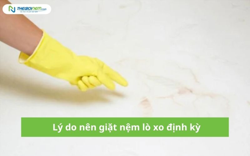 giặt nệm lò xo tại Biên Hòa (2)