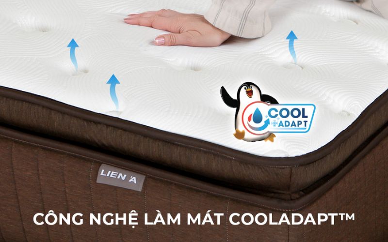 Công nghệ CoolAdrap trong nệm lò xo Liên Á