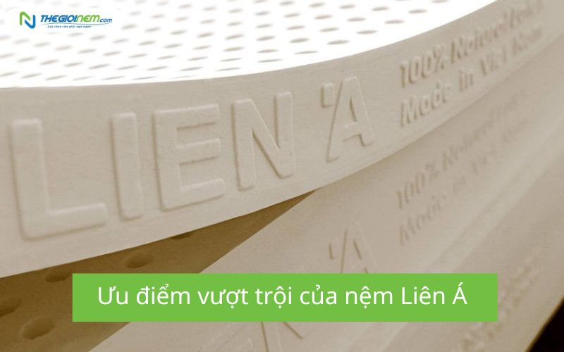Mua nệm liên á trả góp TPHCM 3