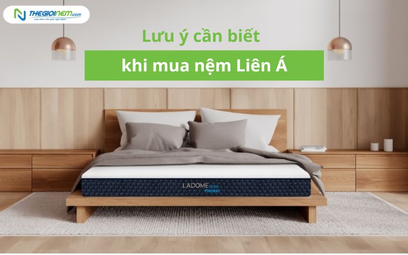 Mua nệm liên á trả góp TPHCM 7