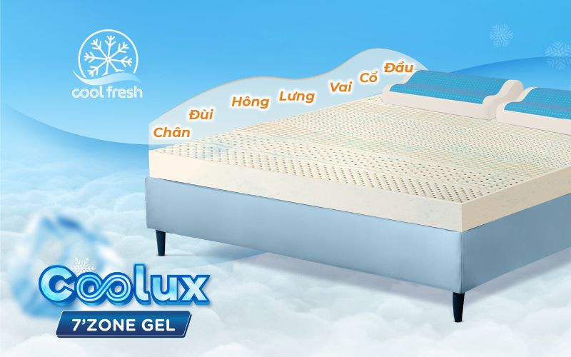 Nâng đỡ đa vùng cơ thể