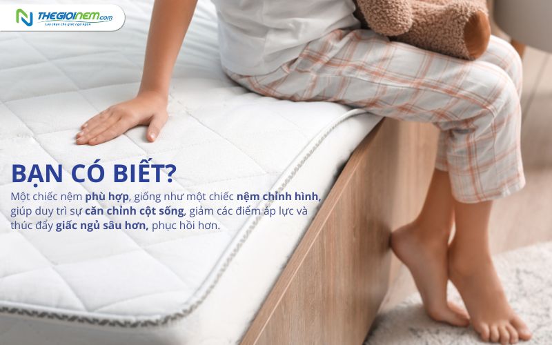 Cách chọn nệm phù hợp với thể trạng và tư thế ngủ