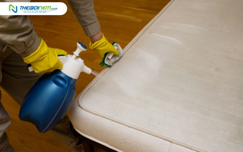 Cách giặt đệm bông ép bị dính nước tiểu, bị mốc