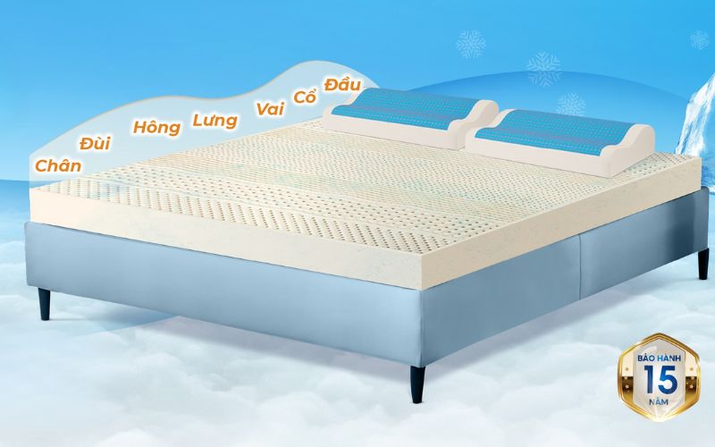 Có nhiều yếu tố ảnh hưởng đến giá nệm cao su thiên nhiên Kim Cương