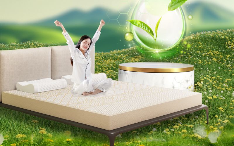 Nệm cao su Kim Cương được làm từ nguyên liệu tự nhiên và đạt các chứng chỉ về chất lượng