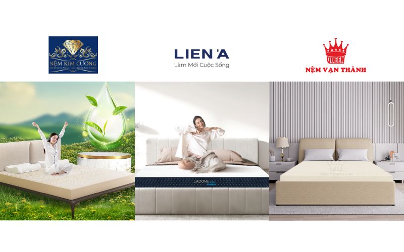 3 thương hiệu nệm cao su Kim Cương, Liên Á, Vạn Thành