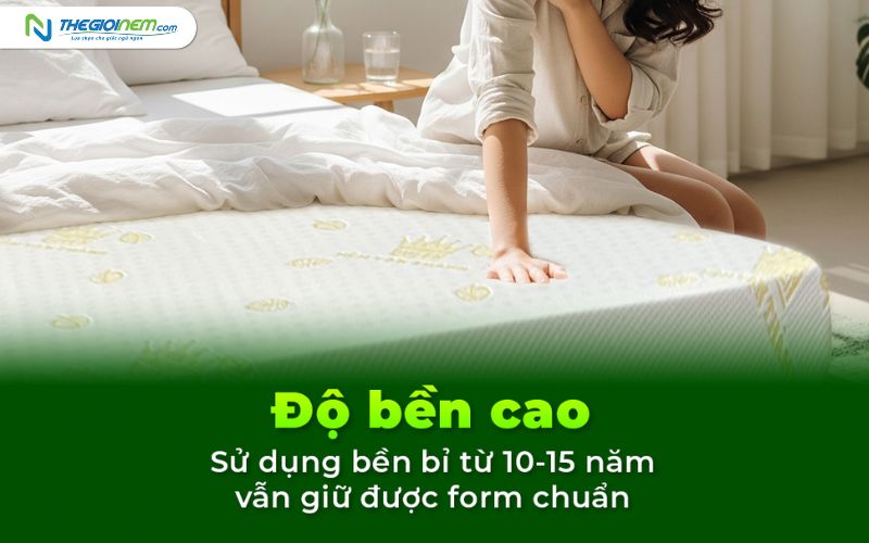 Nệm cao su dùng được bao lâu? Giải đáp chi tiết