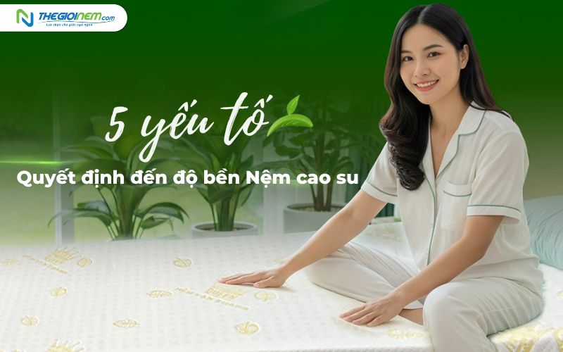 Nệm cao su dùng được bao lâu? Giải đáp chi tiết