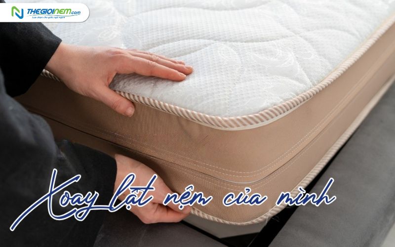 Tại sao nệm cao su lại có lỗ tròn và lỗ vuông?