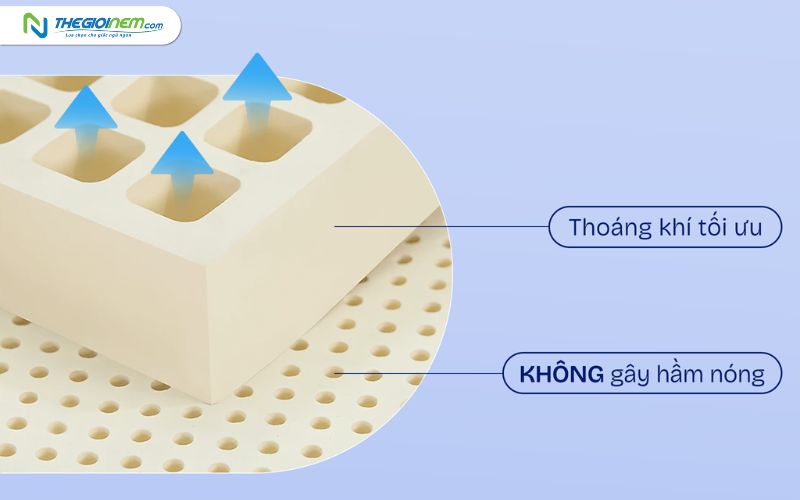 Tại sao nệm cao su lại có lỗ tròn và lỗ vuông?