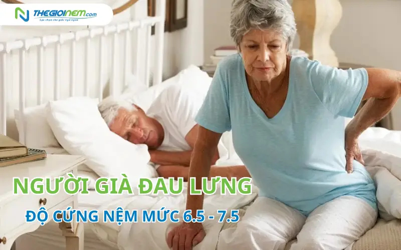 độ cứng nệm cho người già đau lưng