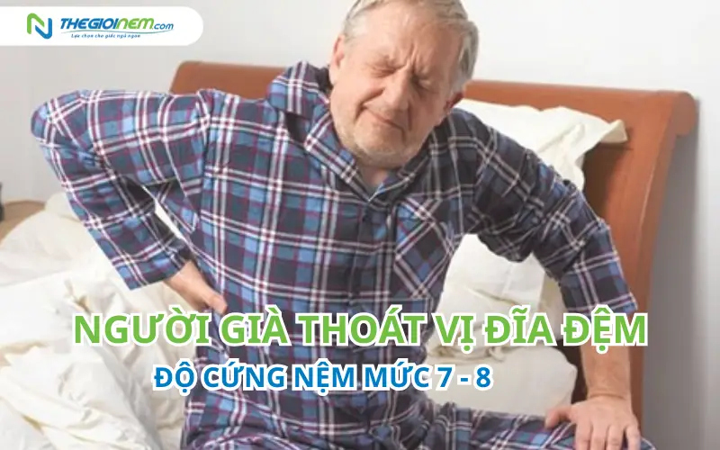 độ cứng nệm cho người già thoát vị đĩa đệm