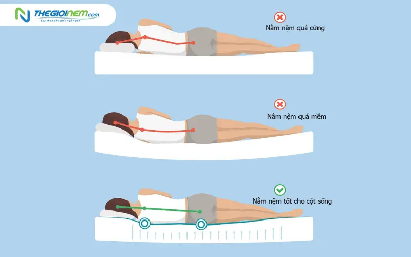 độ cứng nệm phù hợp