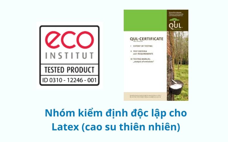 Nhóm kiểm định độc lập cho Latex