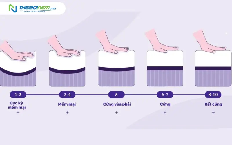 thang đo độ cứng nệm