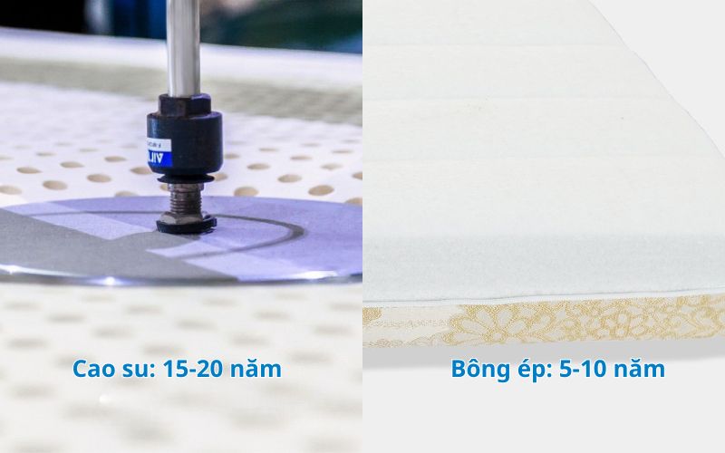 Độ bền nệm cao su vượt trội hơn so với bông ép