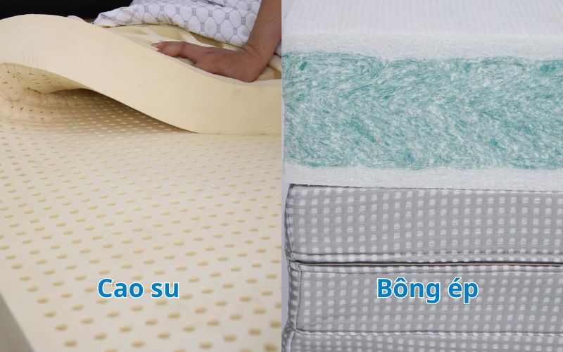 Nệm bông ép và nệm cao su