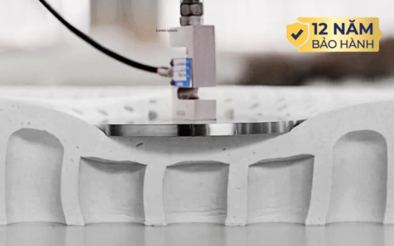 Nệm cao su có cấu trúc bọt hở đàn hồi, thoáng khí