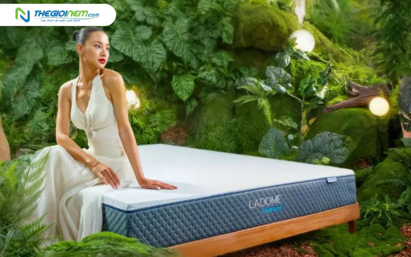 nệm cao su thiên nhiên