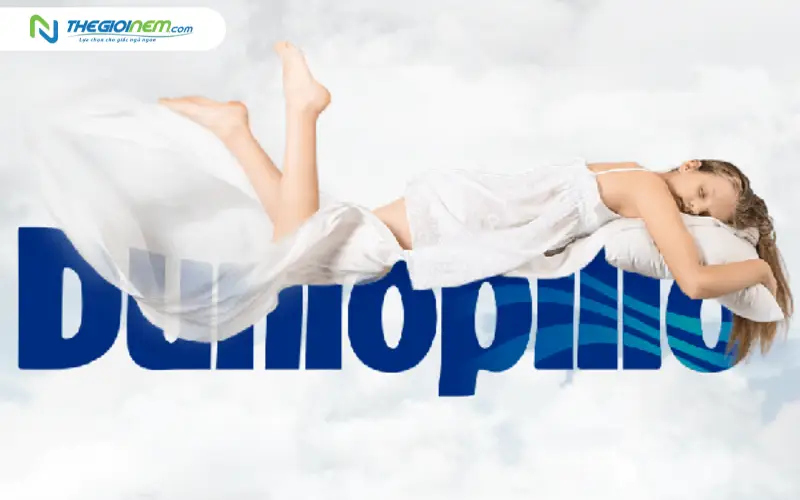 thiết kế giấc ngủ công thái học