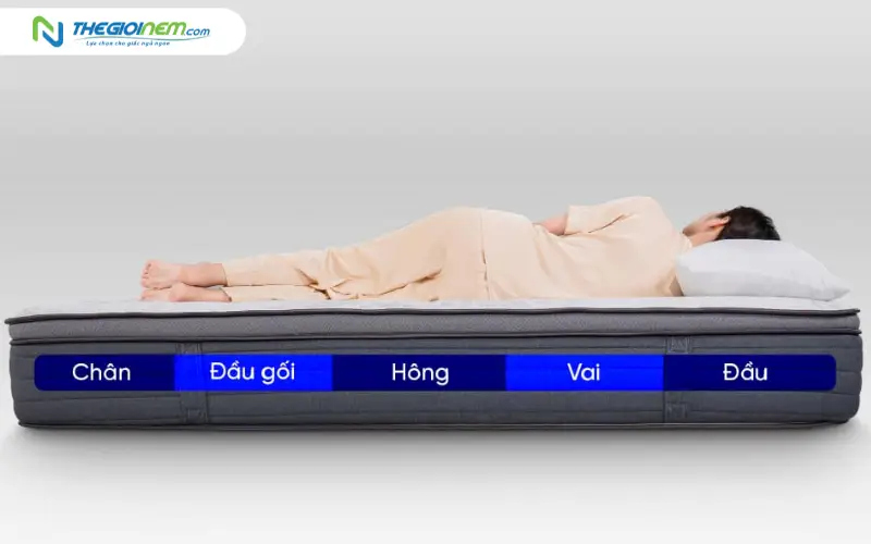 ưu điểm của nệm lò xo cao