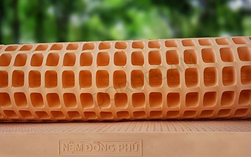 Nệm cao su thiên nhiên Đồng Phú Friendly