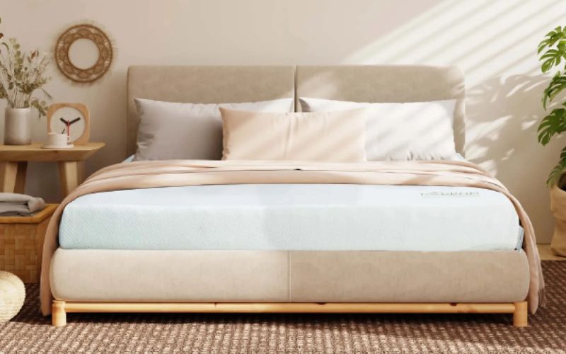 Nệm cao su thiên nhiên Everon Natural Charcoal Latex Cool