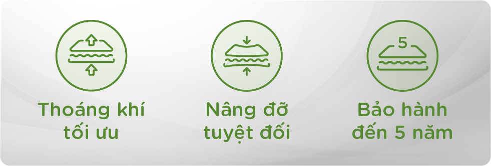 Nệm lò xo liên kết Tatana Liza