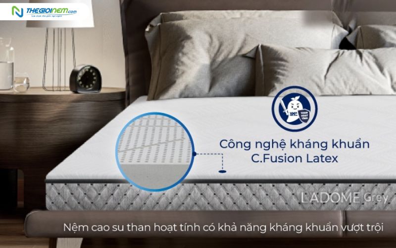 Khả năng kháng khuẩn, khử mùi