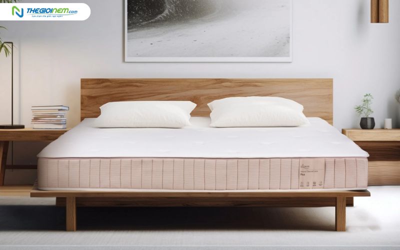 Nệm cao su Everon Natural Charcoal Latex Plus