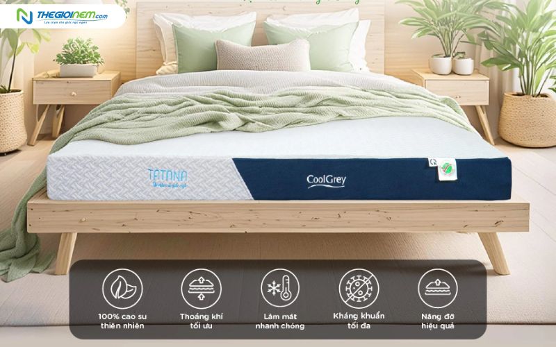 Nệm cao su thiên nhiên than hoạt tính TATANA Cool Grey