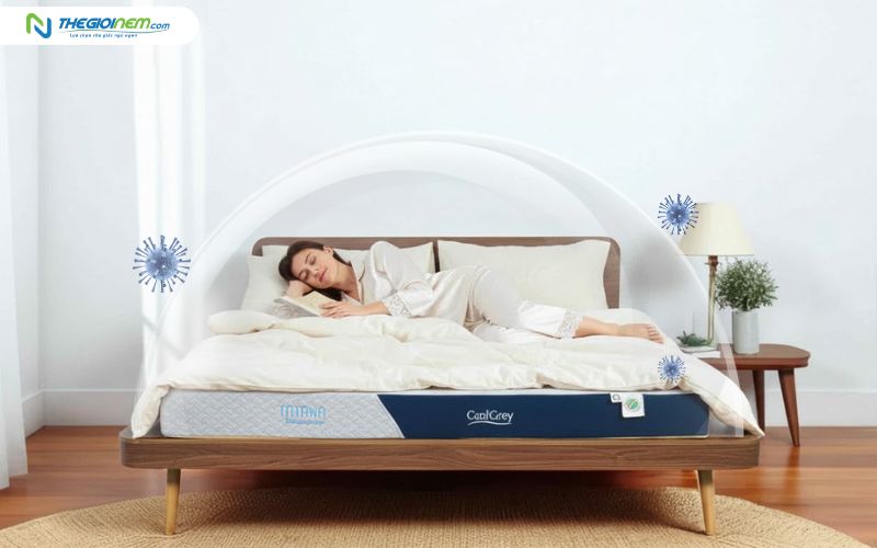 Nệm than hoạt tính kháng khuẩn, bảo vệ sức khỏe