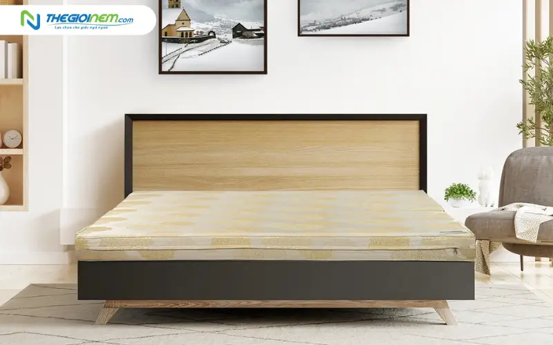 nệm bông ép everon padding