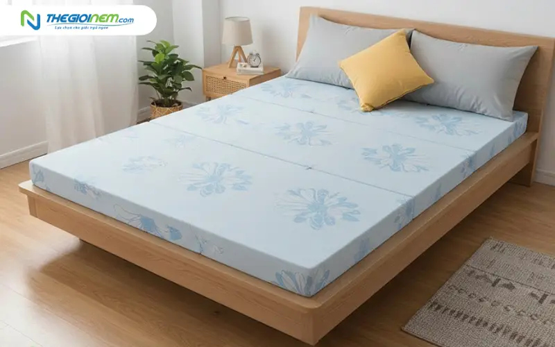 nệm bông ép kim cương acness