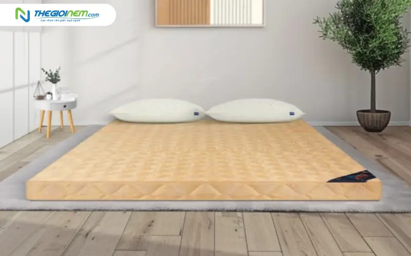 nệm bông ép liên á