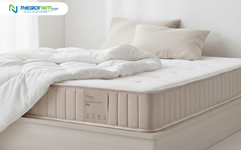 nệm cao su everon natural charcoal latex plus