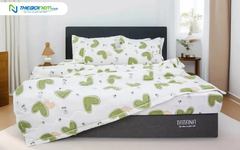 chăn ga gối tết cho gia đình vợ chồng