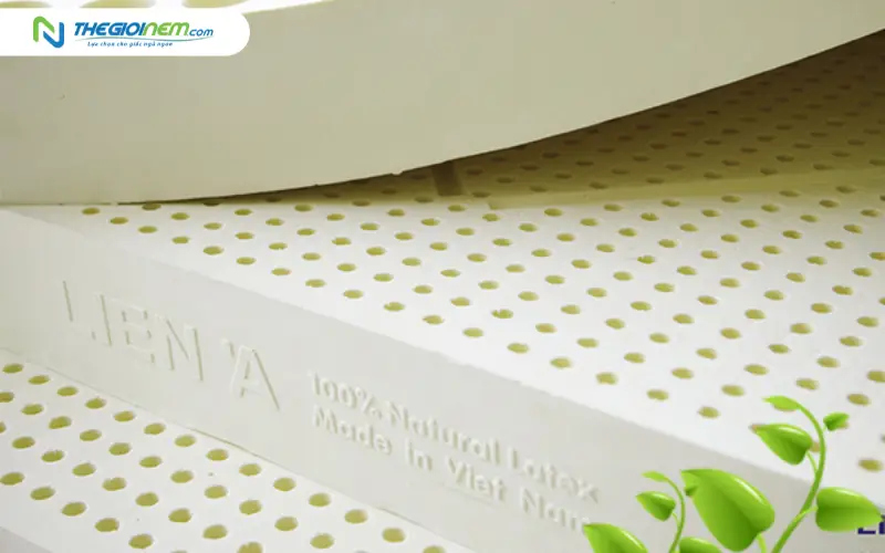 khả năng chống nấm mốc của mủ cao su