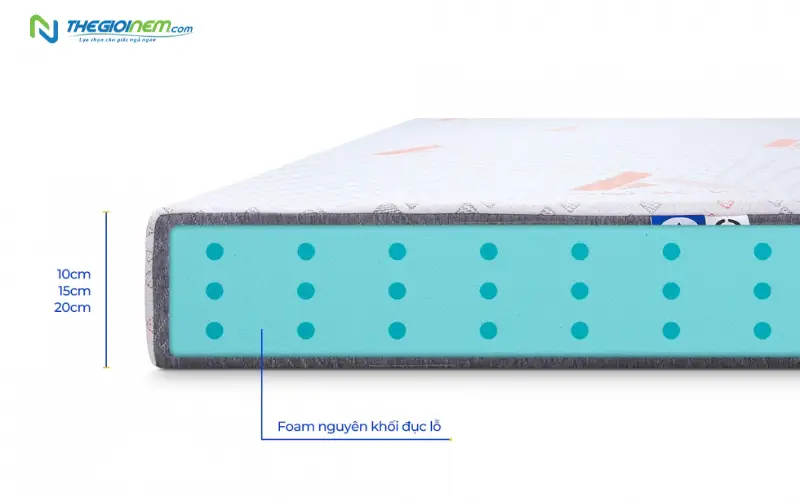 cấu trúc tế bào mở