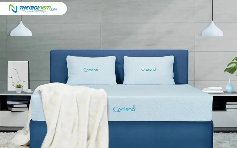 giá thành và phân khúc khách hàng