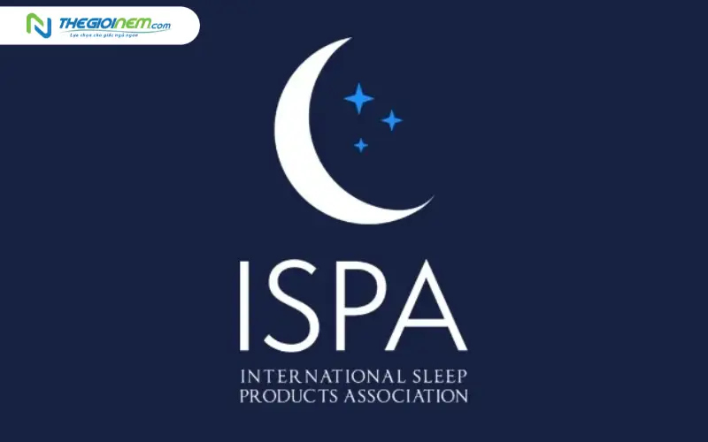 Lịch sử hình thành và tầm ảnh hưởng toàn cầu của ISPA