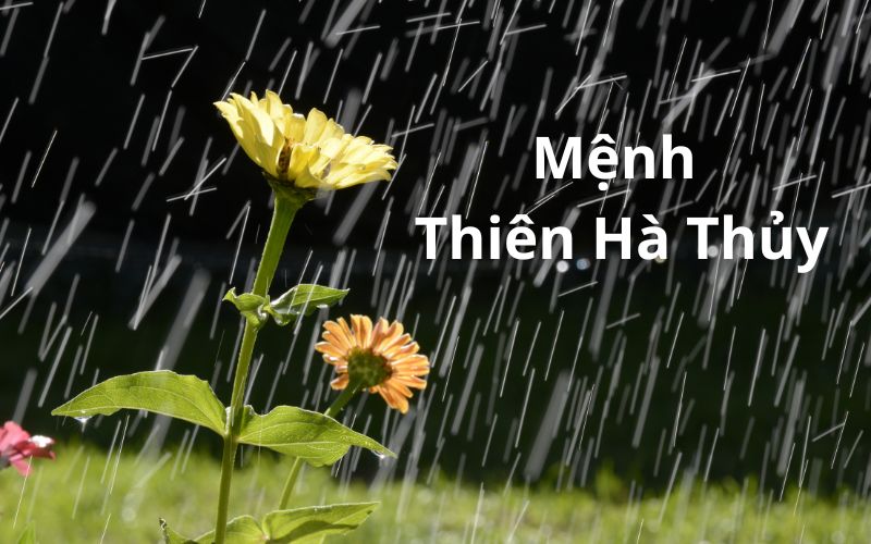 Năm 2026 mệnh Thiên Hà Thủy