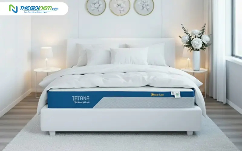 Nệm foam đa tầng cao su Sleep Lux TATANA
