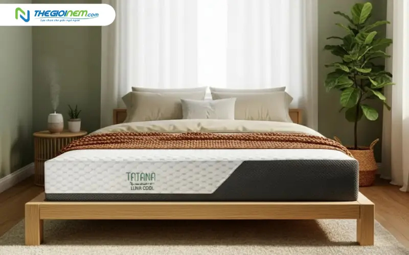 Nệm foam luna cool TATANA